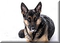 1873221-79525a7624d7bd08.jpg