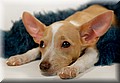 1874181-2162844f9719b0f6.jpg