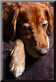 1874200-4650e693292b3bbe.jpg