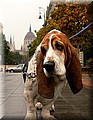 1879555-78e8ee539b7d16a2.jpg