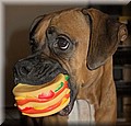 1891604-8ccb5dadc9ab6526.jpg