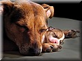 1892122-cc0f20578d9b26d4.jpg