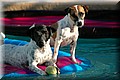 1892905-e0b8f9f01263ca11.jpg