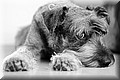 1893519-7de6b956c5062d7b.jpg
