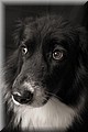 1893752-6c9c0d8950c23efc.jpg