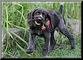 1894597-a41dc3c302c90030.jpg