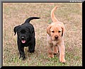 2047496-e3a412157c4714de.jpg