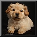 2089637-b4fb1bff50c9948b.jpg