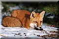 2094478-ef0c47a4dcbdadfa.jpg