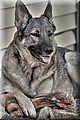 2096276-f169cfc12a62cfdd.jpg
