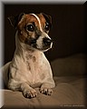 2129497-15b279883980a37e.jpg