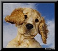2150371-de13afee603bb70a.jpg