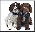 2150888-aef1d14a0ae6e94f.jpg