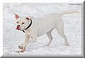 2151977-d2bdeb9fe5a1f016.jpg