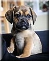 2161362-d84b2bfe6d861a76.jpg