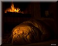 2267820-23c77be4ecb68e90.jpg