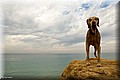 2269111-5c8072270abb04ec.jpg