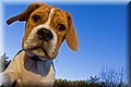 2272943-009119d19facbbd1.jpg