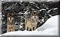 2276071-8f70acdd36bbaf1d.jpg