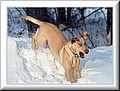 2296873-ba4cb5e092792a1a.jpg