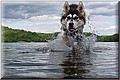 352837-8c4a3c83dba820e4.jpg