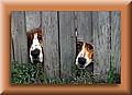 364185-8220d58b44fc1d1f.jpg