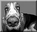 449643-56926359a45450f0.jpg