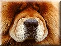 475468-f3f4bf028cf2e433.jpg