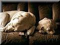 505267-a0b51bd4e23585eb.jpg