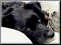 514685-5fb483c629010cf3.jpg