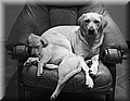 520880-5b770fc1642b661c.jpg