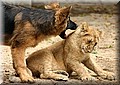 70.jpg