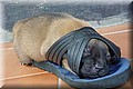 A2570303-18.jpg
