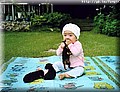 Baby%20eats%20dog.jpg