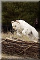 DSC_4966666.jpg
