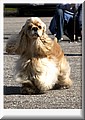 DSC_5056666.jpg