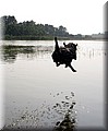 Foto 050.jpg