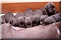 Foto 112.jpg