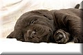 Foto 118.jpg