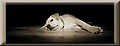IMG_8854%20copysmall.jpg