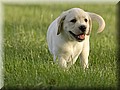_DSC8766999.jpg