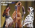 barkstreetboys.jpg