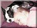 fast-asleep.jpg