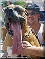 file1038960_tongue.jpg