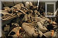 foxhounds.jpg
