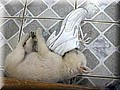 image004.jpg