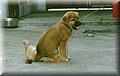 image007.jpg