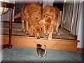 image011.jpg