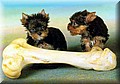image029.jpg
