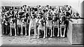 otfordhounds.jpg
